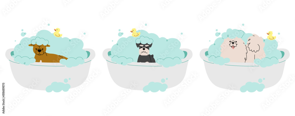 Pet Grooming 9 cute on a white background, vector illustration. Pet Grooming 9 cute on a white background, vector illustration.