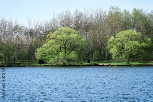 Spring landscape on the lake shore