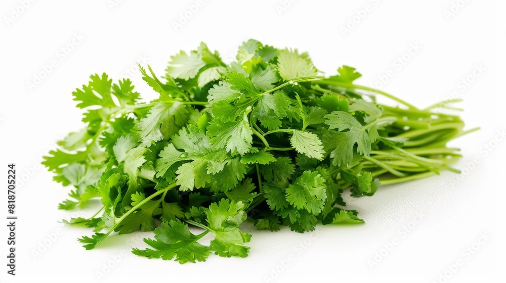 Fresh coriander leaves isolated on white background. Fresh coriander leaves isolated on white background.