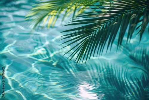 Palm tree shadow on water © Boomanoid
