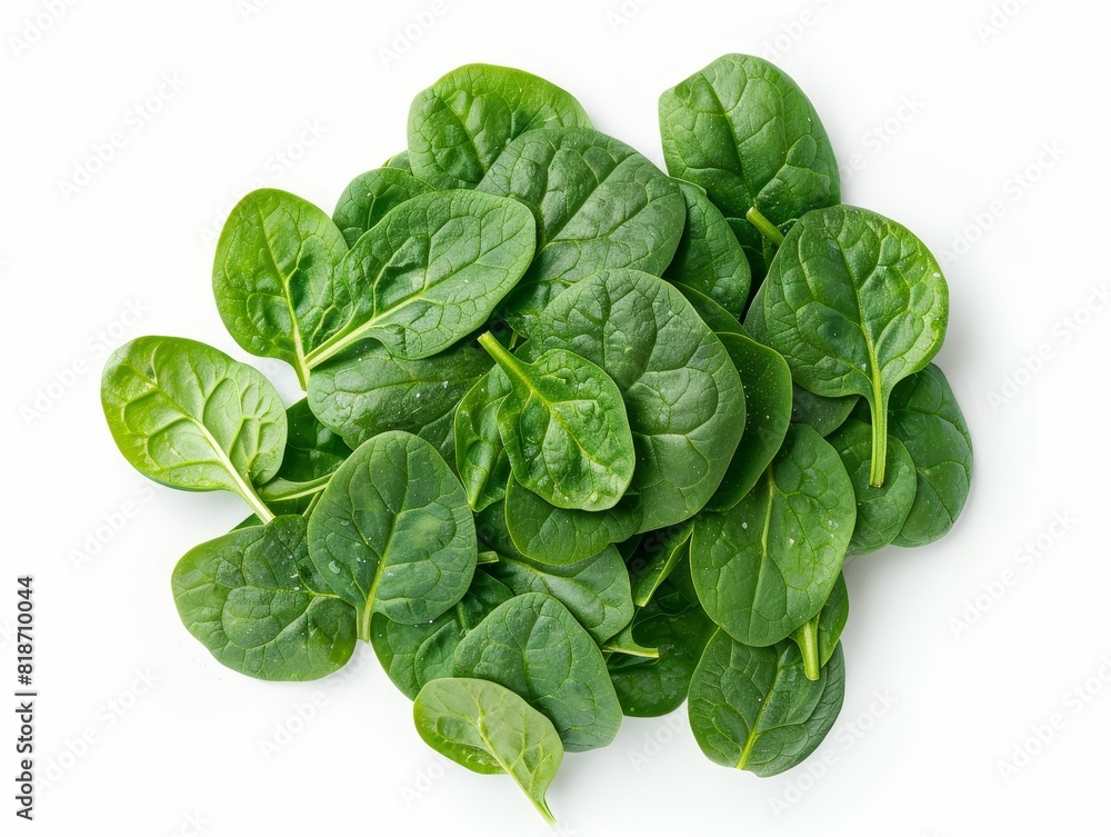Fototapeta premium An isolated white backdrop showcases vibrant green spinach leaves in a direct above view