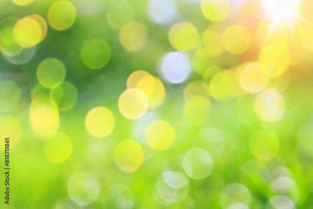 Green nature Blurred background. Abstract blur of Green nature, bokeh defocused and blur background. Green nature Blurred background. Abstract blur of Green nature, bokeh defocused and blur background.