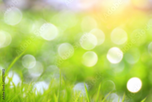 Green nature Blurred background. Abstract blur of Green nature, bokeh defocused and blur background.