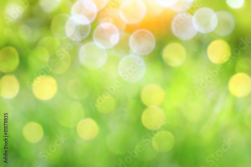 Green nature Blurred background. Abstract blur of Green nature  bokeh defocused and blur background.