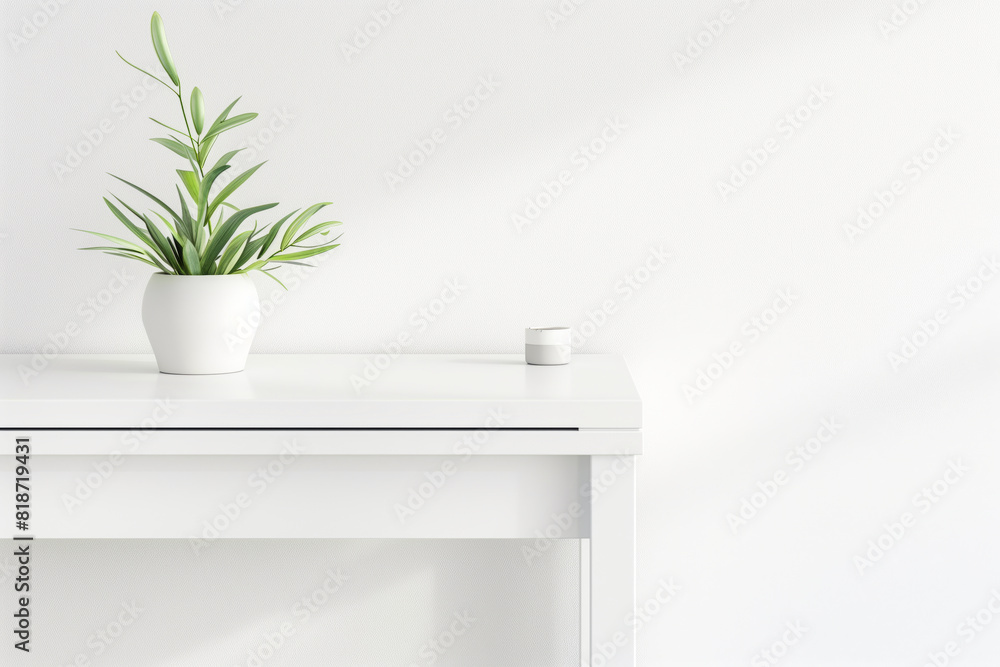 Fototapeta premium A plant on a table