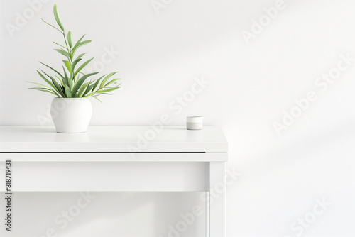A plant on a table