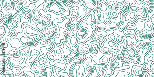 Cartographic depth framing the evolution of natural spatial harmony

