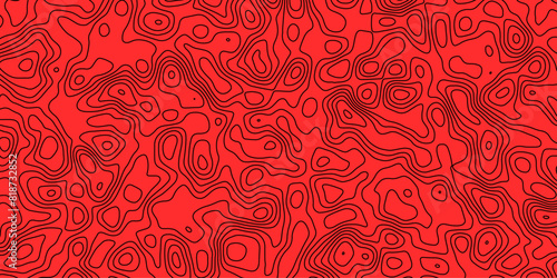 Cartographic patterns framing depth and texture in visual harmony

