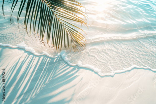 A palm tree is laying on the sand next to the ocean. The water is calm and the sun is shining brightly © Image-Love