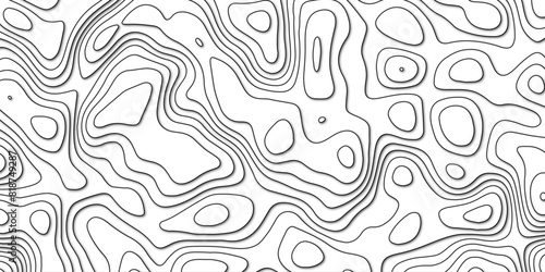 Natural topographic simulation with abstract artistic line elements

