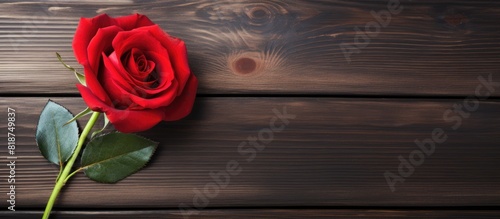 A red rose on a dark wooden background with empty space for text or image display. Creative banner. Copyspace image