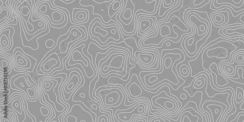 Abstract visual simulation of contour mapping with swirling pattern lines

