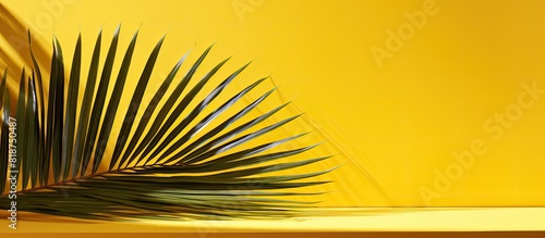 Copy space image featuring an exotic summer concept with a yellow background illuminated by the shadow of a palm leaf