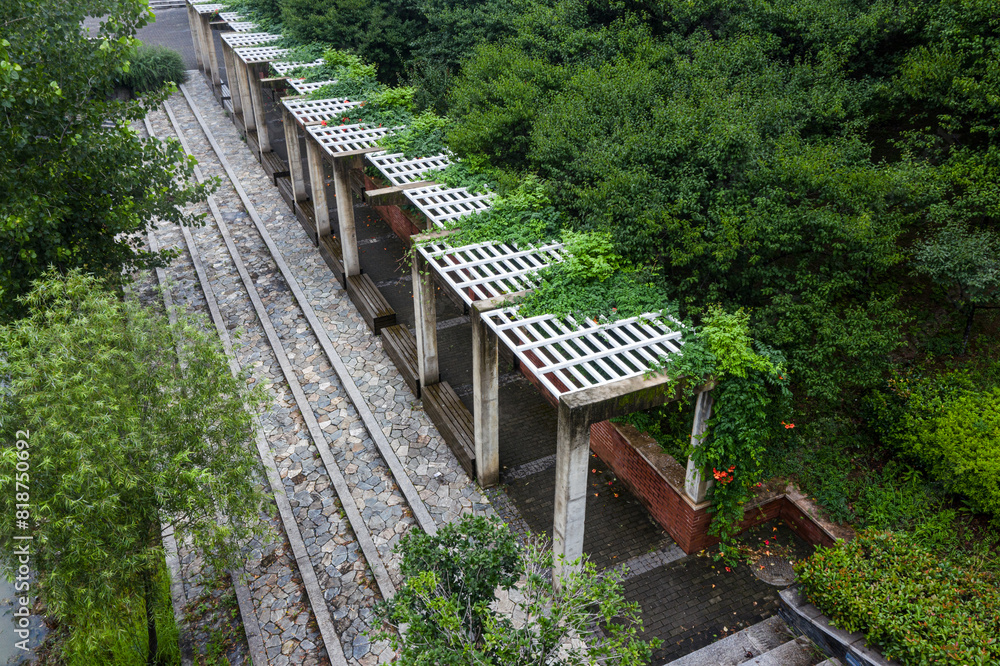 Stone corridor with stairs surrounded by green trees Stone corridor with stairs surrounded by green trees