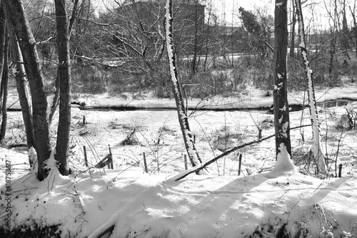 Scenic winter landscape of countryside with trees covered in snow in Lasne, Belgium photo