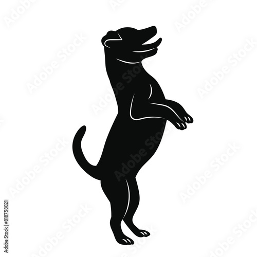 dog on hind legs silhouette on white background vector