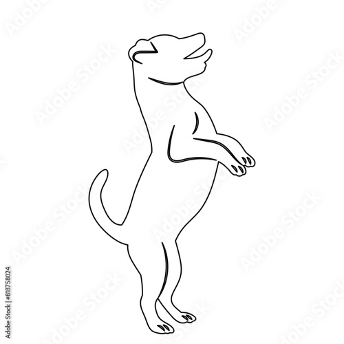 dog on hind legs sketch on white background vector
