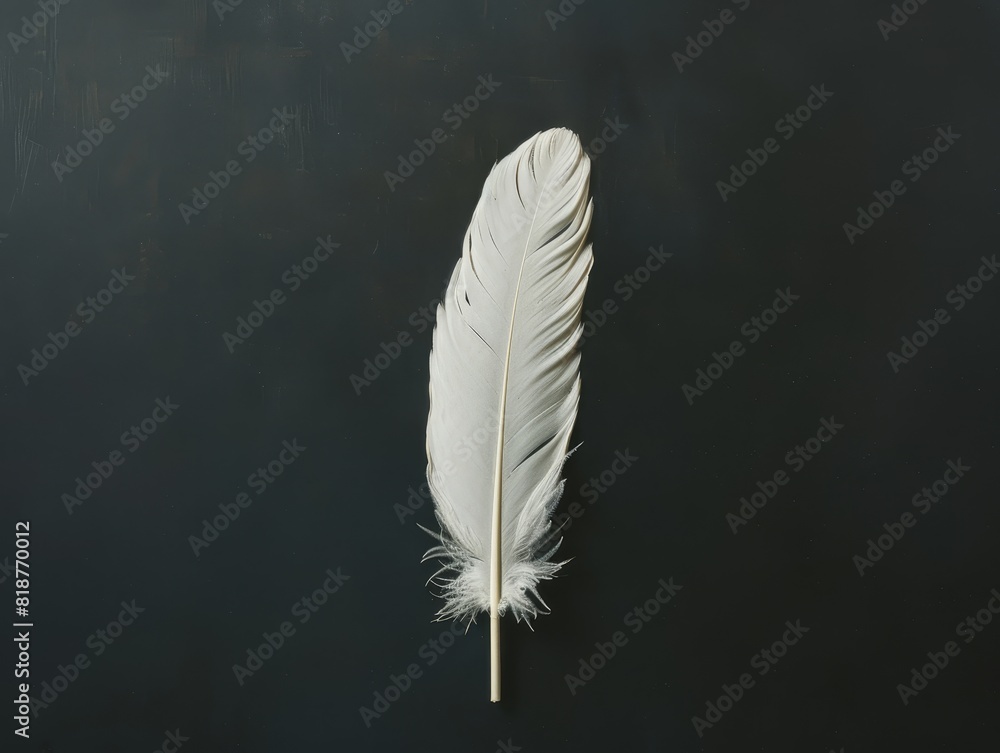 A serene image capturing a lone white feather drifting on a dark backdrop with a minimalist touch A serene image capturing a lone white feather drifting on a dark backdrop with a minimalist touch