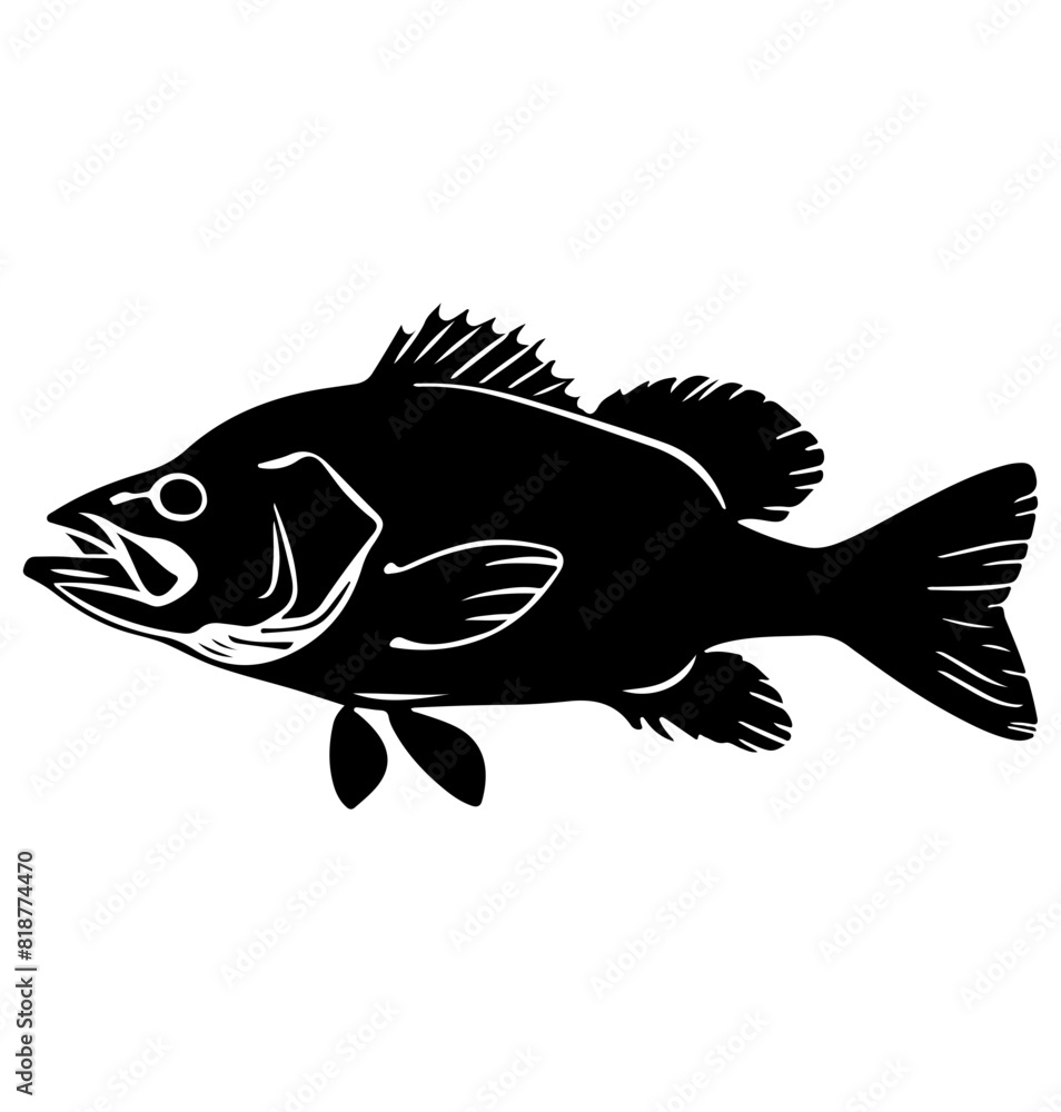 Barramundi fish silhouette, Barramundi fish icon vector illustration Barramundi fish silhouette, Barramundi fish icon vector illustration