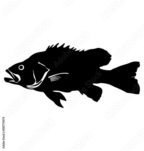Barramundi fish silhouette, Barramundi fish icon vector illustration