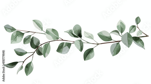 Beautiful branch with green leaves isolated on white