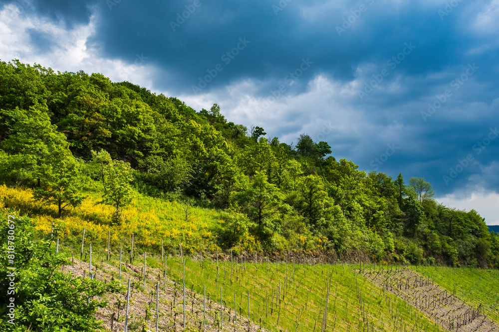 Obraz premium Dark rain clouds over the Rheingau Mountains near Lorchhausen on a spring day