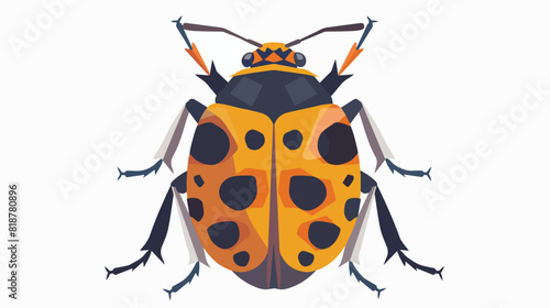 Beetle shield stink bug top view. Forest fauna specie © Fareeha