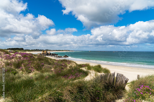 Panorama d une plage de sable et d eaux turquoise depuis des dunes orn  es de fleurs violettes.