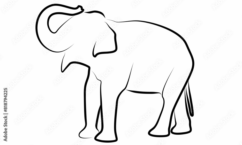 Fototapeta premium Elephant vector, line drawing side view illustration isolated on white background
