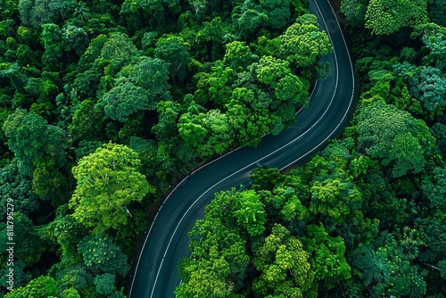 Aerial view of green forest and black asphalt road, top view road through forest, road trip, drone aerial view. © Warakorn