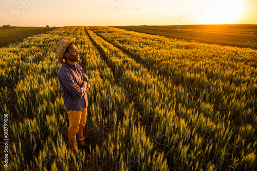 African farmer is standing in his growing wheat field. He is satisfied with progress of plants.