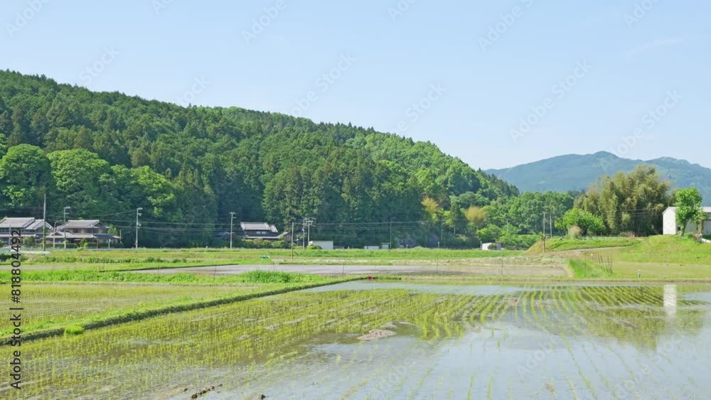 countryside and rice fields in Japan,water,blue sky countryside and rice fields in Japan,water,blue sky