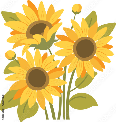 Bouquet of sunflowers on white background. Vector illustration in flat style. Yellow summer flowers isolated