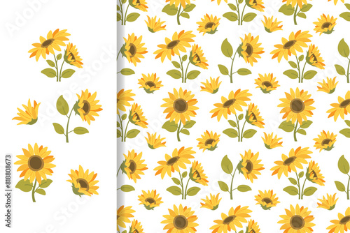 Summer floral pattern with sunflowers on white background. Vector seamless ornament for prints, fabrics