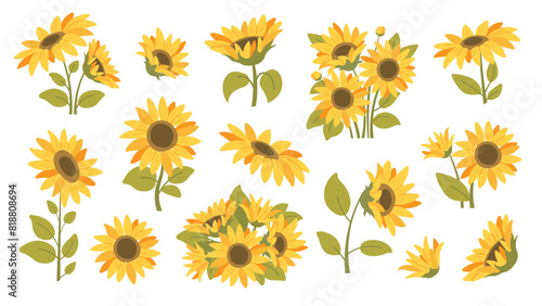Summer sunflowers set. Single sunflower, bouquet of sunflowers. Vector icons in flat style