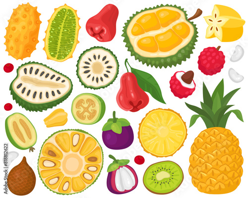 Various fruits on a white background. Tropical exotic fruits. Cartoon illustration. Durian, jackfruit, soursop, rose apple, mangosteen, pineapple, lychee, feijoa, kiwi, carambola. Fruits and slices. 