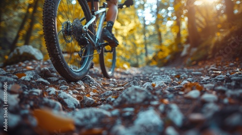 Close-up of a mountain bike wheel on a rocky trail in a forest, showcasing adventure and activity.