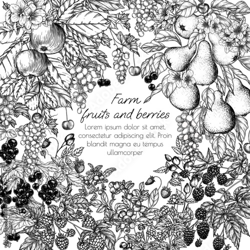 Vector border blooming garden with harvest. Cherries, grape, apples, rose hips, raspberries, blackberries, cloudberries, lingonberries, blueberries, pear, currant in engraving style