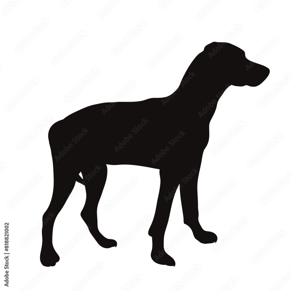 Vector silhouette of dog on white background. Symbol of pet and happy life.