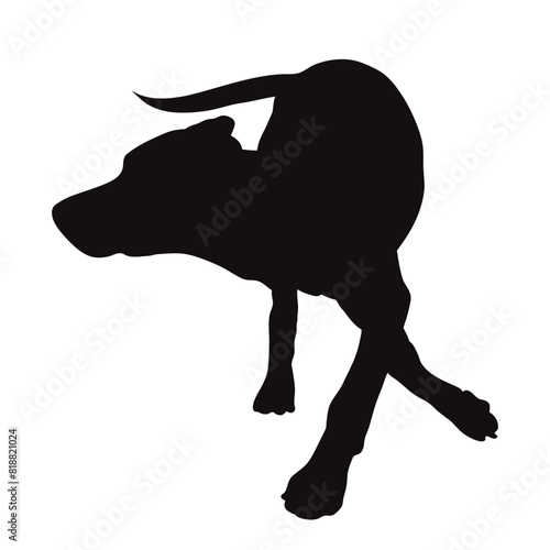 Vector silhouette of dog on white background. Symbol of pet and happy life.