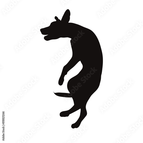 Vector silhouette of jumping dog on white background. Symbol of pet and happy life.