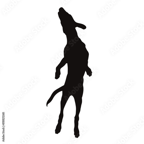 Vector silhouette of jumping dog on white background. Symbol of pet and happy life.