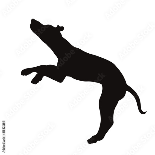 Vector silhouette of jumping dog on white background. Symbol of pet and happy life.