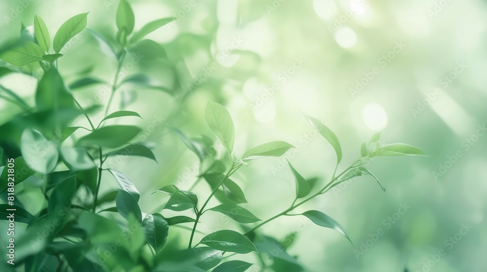 Leaves, soft and calm green, photography style Leaves, soft and calm green, photography style