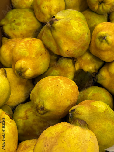a pile of quince fruit for sale at the markets