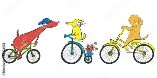 Hand drawn line art vector of cute dogs riding bicycle. Dogs on ride.