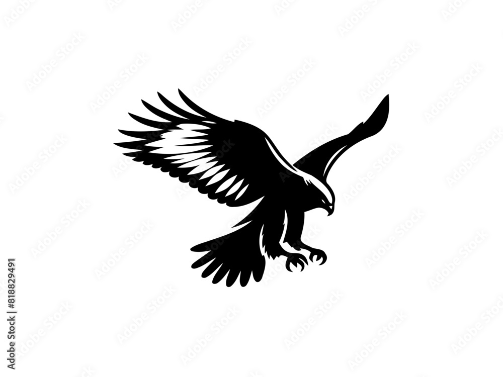 Obraz premium Majestic Hunter: Hawk Vector Illustration for Wildlife Designs and Powerful Art