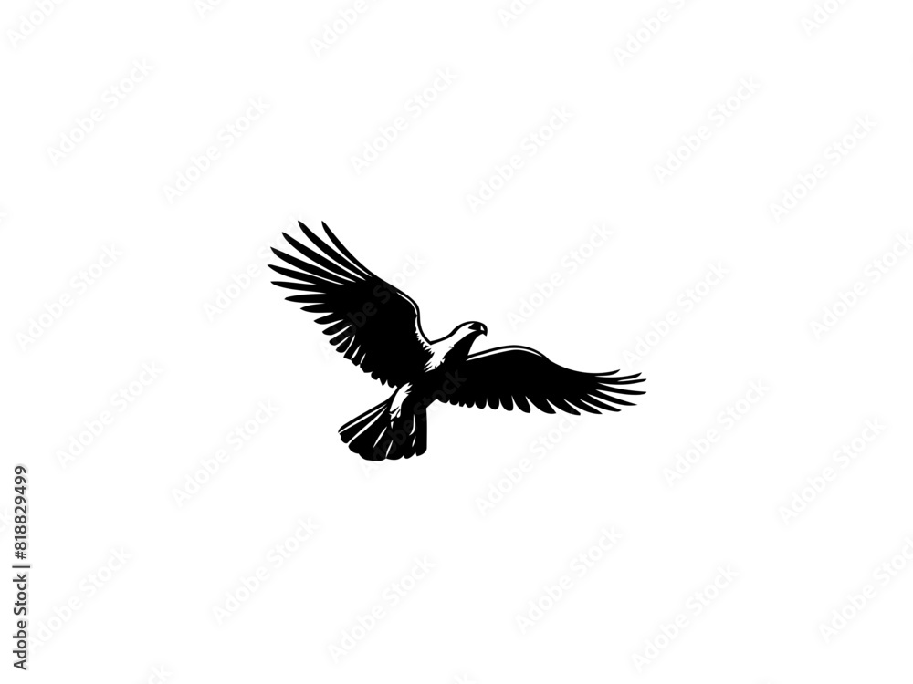 Fototapeta premium Majestic Hunter: Hawk Vector Illustration for Wildlife Designs and Powerful Art