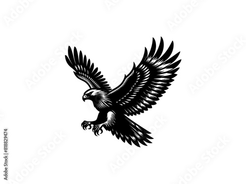 Majestic Hunter: Hawk Vector Illustration for Wildlife Designs and Powerful Art