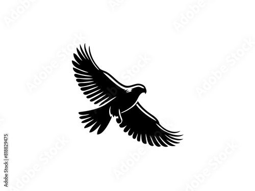 Majestic Hunter  Hawk Vector Illustration for Wildlife Designs and Powerful Art